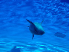 s_IMGP0408s.png